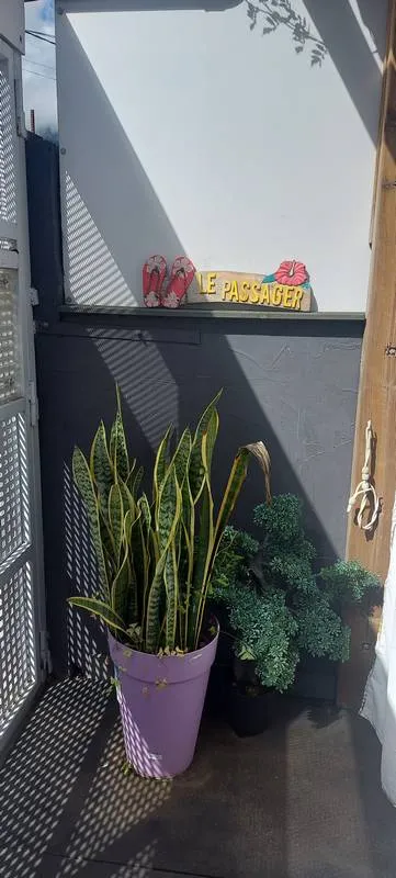 Location de studio, Cilaos, Le Passager Cilaos